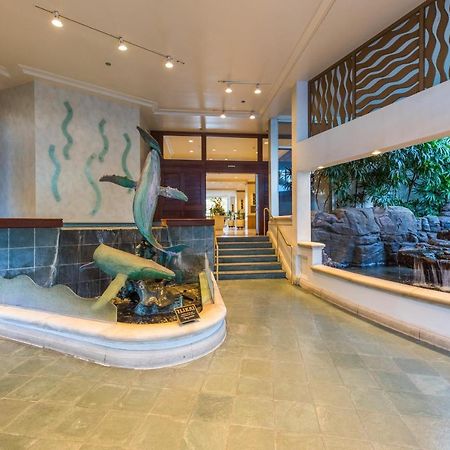 @ Marbella Lane - Oceanview Suite Steps To Beach Χονολουλού Εξωτερικό φωτογραφία